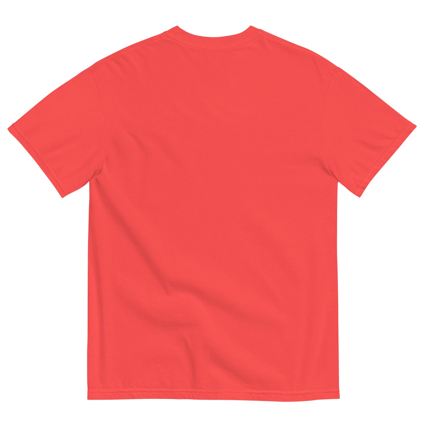 NBBL Branded Thick T